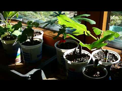 Virtueller Rundgang durch die Feigen Sammlung. Die Eigene. Wir bleiben zu Hause. Digital Travel fz82