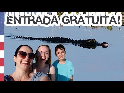 JACARÉS: Dica de passeio GRATUITO em Orlando - Lares e Lugares