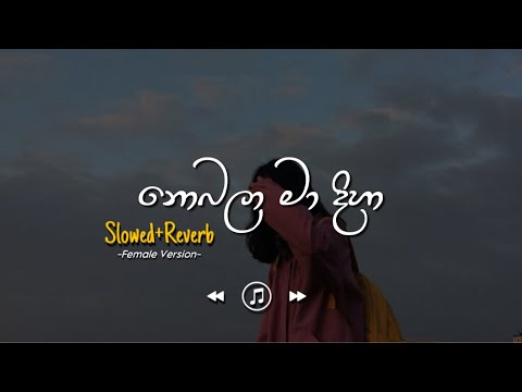 Nobala Ma Diha - නොබලා මා දිහා | Female Version (Slowed+Reverb)