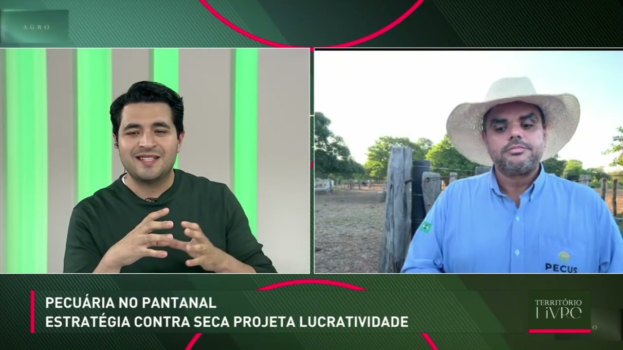 Pecuária no pantanal: estratégia contra seca projeta lucratividade