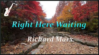 Richard Marx, &quot;Right Here Waiting&quot; / 테너 색소폰(Tenor Saxo)🎷 대전 상소동 산림욕장 / DJI Avata 드론