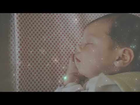 Beautiful Quran ! Bacaan Quran Merdu Surah Ash Shaff ! Beautiful Quran Recitation