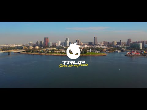 TALIP - SERCA NIE NAPRAWIĘ (LYRIC VIDEO) DISCO POLO 2022
