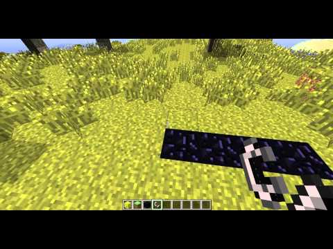 MineCraft stavba portálu