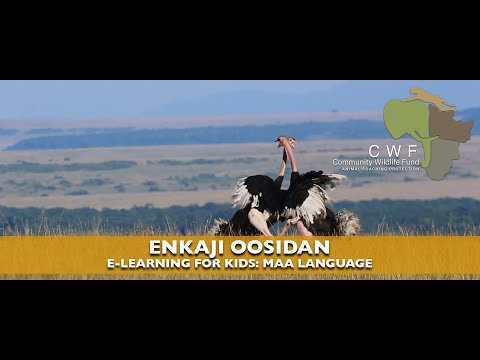 MAA LANGUAGE: ENJAKI OOSIDAN - E-LEARNING FOR KIDS