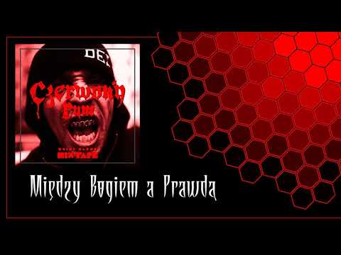 Słoń - [15/15] - Między Bogiem a Prawdą | DZiMi Blend