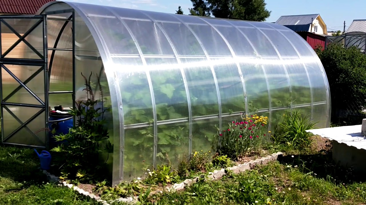 Купить Теплицу С Экспозиции В Ступино