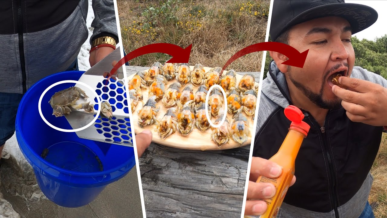 CAZANDO Y COCINANDO PULGAS DE MAR ( no creerás a que sabían)