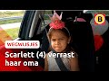 'Letter S is toch van aardappel?' | Wegwijsjes