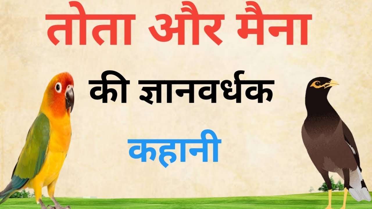 तोता और मैना की ज्ञानवर्धक कहानी ,,,।। tota or maina ki khani ।।