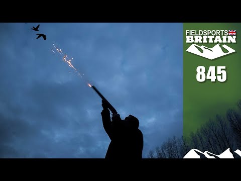 Fieldsports Britain – Duck flighting with a world champion