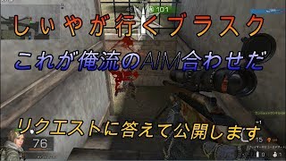 エイム合わせを初公開!!!(ブラスク)