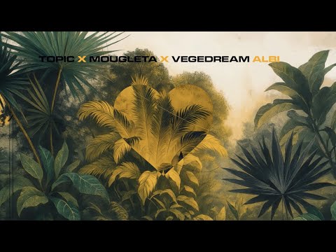 Topic x Mougleta x Vegedream - Albi (Lyric Video)