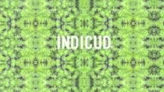 Kid Cudi - Unfuckwittable (Indicud)
