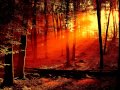 Kenny G - Going Home 