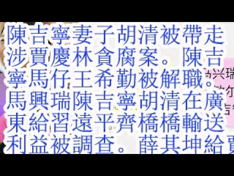 陈吉宁妻子胡清被带走，涉贾庆林腐败案。陈吉宁陈希马仔王希勤被免职。马兴瑞和陈吉宁妻子胡清在广东给习远平齐桥桥公司输送利益被中纪委调查。薛其坤给贾庆林输送利益被查。习近平白手套党彦宝