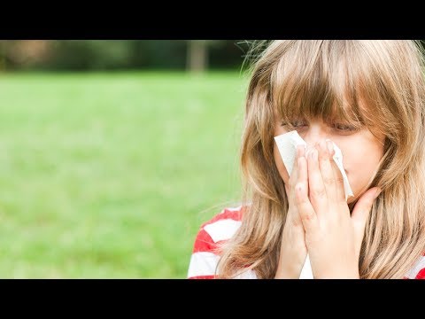 Multiple allergies: Suffer from more than one allergy? Maharishi Ayurveda