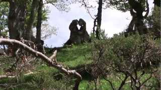 preview picture of video 'Curiosidades, figuras y esculturas naturales en La Pernia, montaña palentina.'