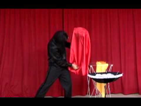 Color Changing Flower Vase w/ DVD - Tora