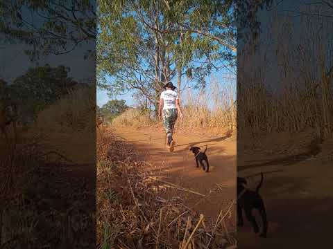 Caminhada sertaneja Comunidade Santa Rita município Vianópolis Goiás Brasil