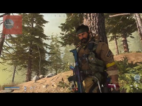 COD WARZONEのサポートを行います イメージ1