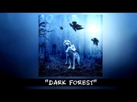 Dark Trap Instrumental Rap Beat - "DARK FOREST" Dope Hard Freestyle Hip Hop Instrumental 2018