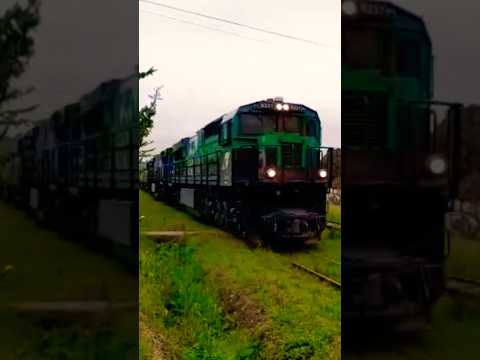Ferrovia/Balsa Nova Paraná PR-Brasil (2026) #trensbrasil #ferrovia #rumo #railfan #railroad #trains