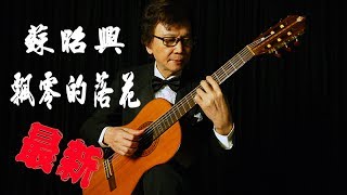 王子 - Guitar video