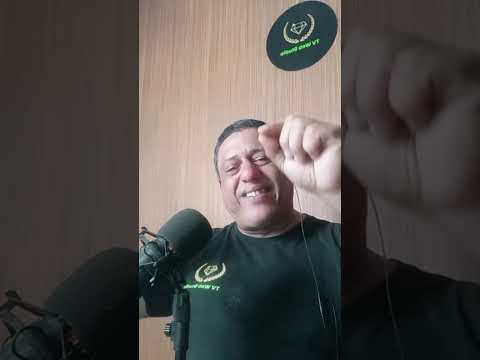 MÚSICA, INFORMAÇÃO E O FUTURO DE ANTONINA/PR: ESPECIAL PORTO PONTA DO FÉLIX.