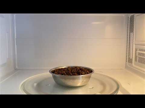 YouTube video about: Can you microwave dog food?