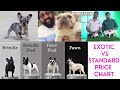 EXOTIC vs STANDARD - Rare Colors in French Bulldogs (PRICE CHART)