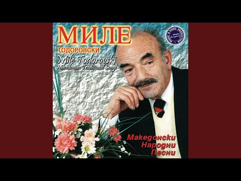 Ajde Nie Bevme Devetmina Braca