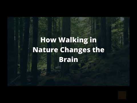 How Walking in Nature Changes the Brain | BY GRETCHEN REYNOLDS | Visualization by Rucha Nimbalkar