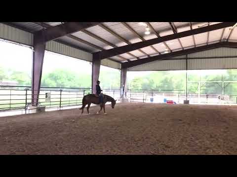 Western Jog or Sitting Trot