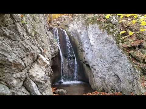 PARCUL NATIONAL DOMOGLED-VALEA CERNEI, octombrie 2024