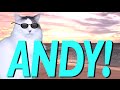 HAPPY BIRTHDAY ANDY! - EPIC CAT Happy Birthday Song