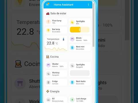 Gatos acogedores viven en una lujosa casa inteligente automatizada con tecnología Raspberry Pi