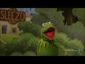 Kermit the frog  playing Don Cavalli VItamin A overdub