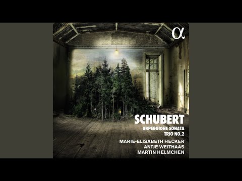 Arpeggione Sonata, D. 821: II. Adagio in E Major