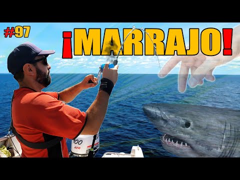 ¡Pesca al vivo! MI MEJOR COMBATE hasta la fecha ¿Podríamos subirlo a bordo? 🙆‍♂️ - Jurel Ramon #97