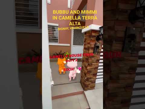 camella terra alta #bubbuandmimmiworld