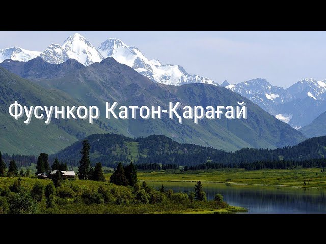 Фусункор Катон-Қарағай