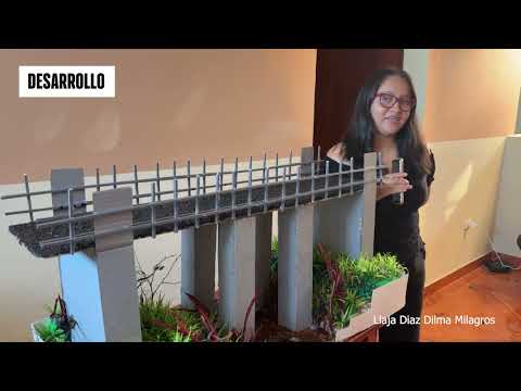 DISEÑO DE UN PUENTE PEATONAL EN SAN MIGUEL-JEPELACIO, MOYOBAMBA, SAN MARTÍN (2025)