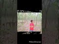 D Pas4 Malam Yang Sunyi Cover By Edo