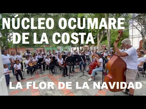 LA FLOR DE LA NAVIDAD | Cierre Navideño Núcleo Ocumare de la Costa