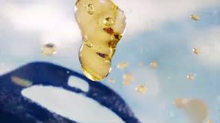 Michelob ULTRA Perfect Form | Michelob ULTRA