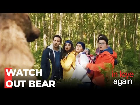 The Crew Ran Into A Bear - In Love Again