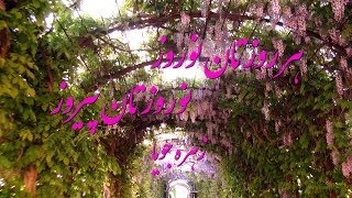 Zohreh Jooya, Happy Nowrooz 1394 HD