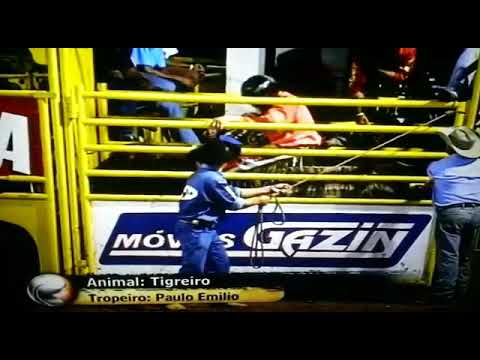 Romildo Monteiro x tigrero Paulo Emilio