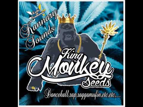 fernikhan high level special plate King monkey seeds